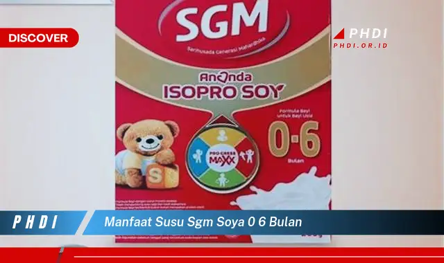 manfaat susu sgm soya 0 6 bulan