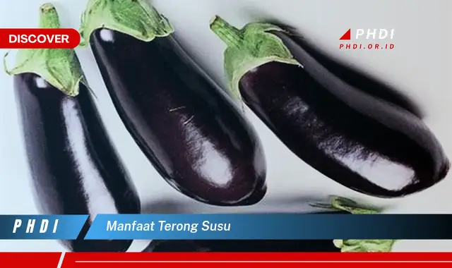 manfaat terong susu