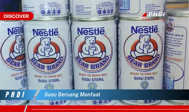 susu beruang manfaat