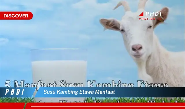 susu kambing etawa manfaat