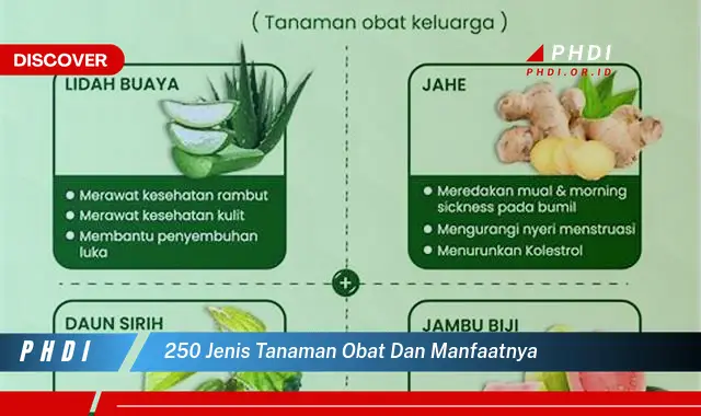 250 jenis tanaman obat dan manfaatnya