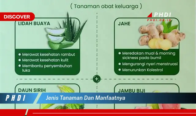 jenis tanaman dan manfaatnya