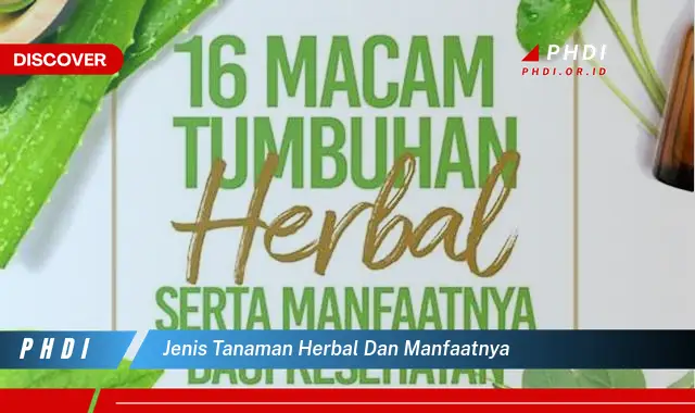 jenis tanaman herbal dan manfaatnya