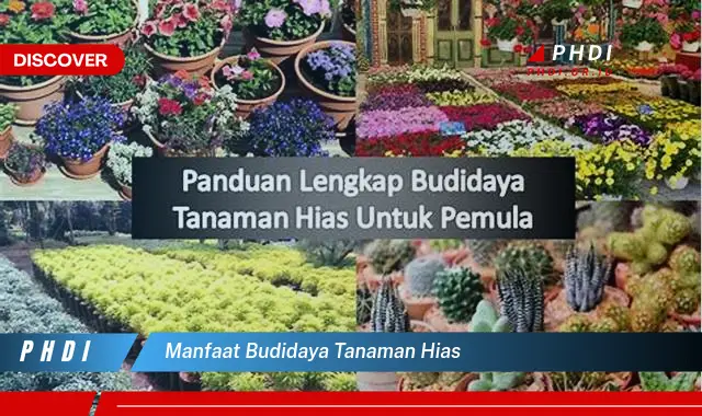 manfaat budidaya tanaman hias