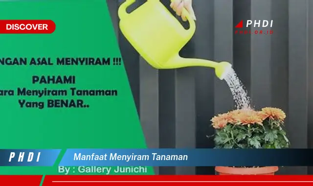 manfaat menyiram tanaman