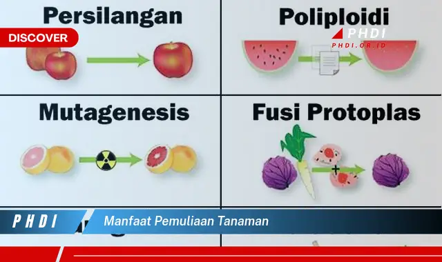 manfaat pemuliaan tanaman