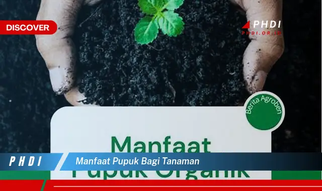 manfaat pupuk bagi tanaman