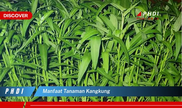 manfaat tanaman kangkung