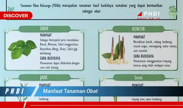 manfaat tanaman obat