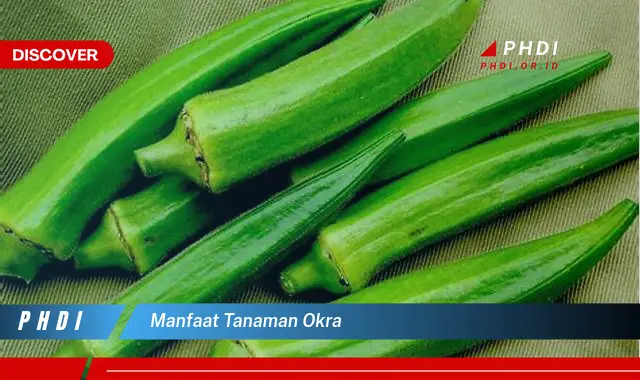 manfaat tanaman okra