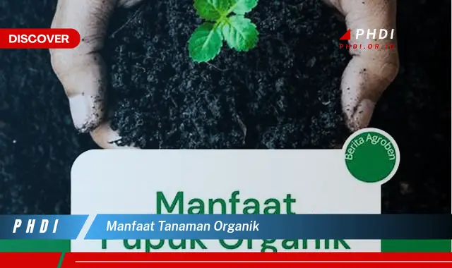 manfaat tanaman organik