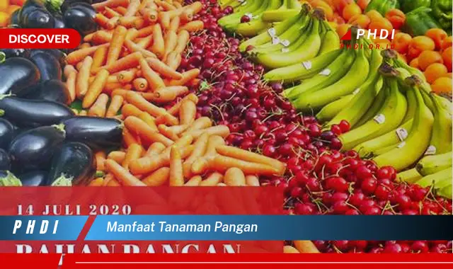 manfaat tanaman pangan