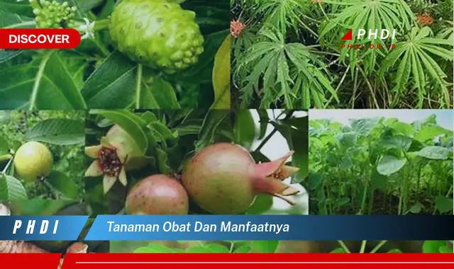 tanaman obat dan manfaatnya