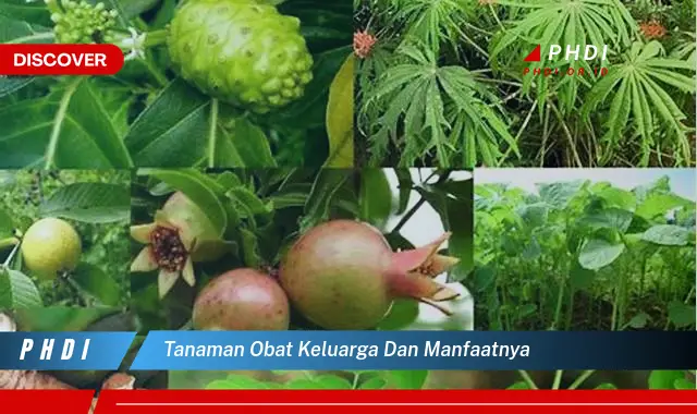 tanaman obat keluarga dan manfaatnya