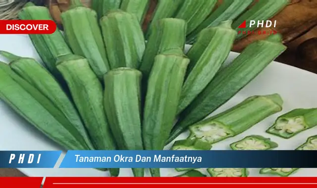 tanaman okra dan manfaatnya