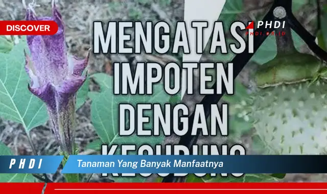 tanaman yang banyak manfaatnya