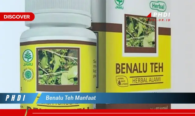 benalu teh manfaat