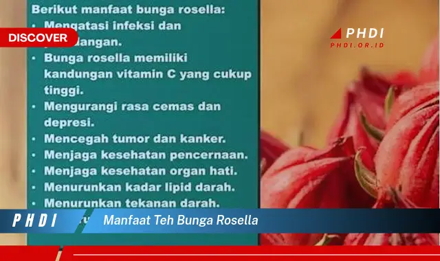 manfaat teh bunga rosella