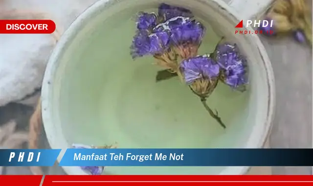 manfaat teh forget me not