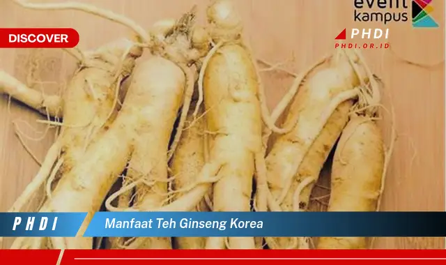 manfaat teh ginseng korea