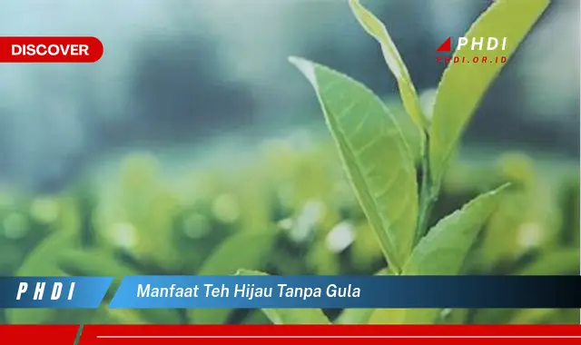 manfaat teh hijau tanpa gula