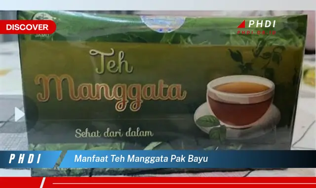 manfaat teh manggata pak bayu