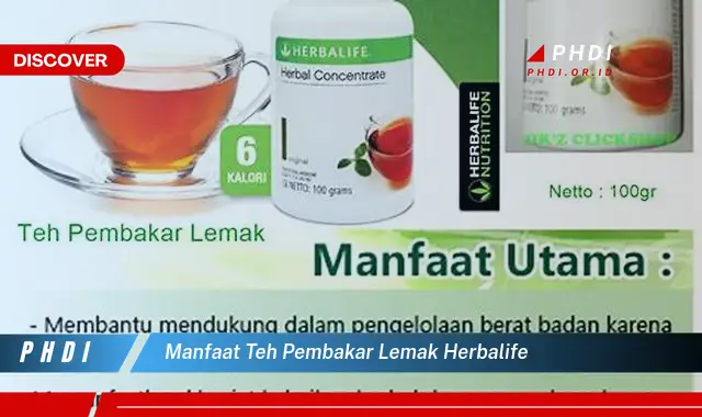 manfaat teh pembakar lemak herbalife