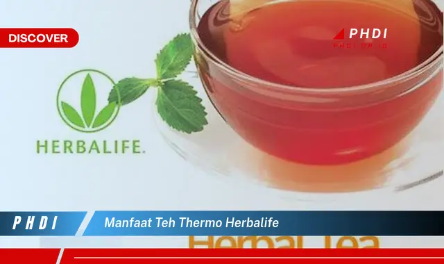 manfaat teh thermo herbalife