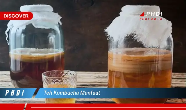 teh kombucha manfaat