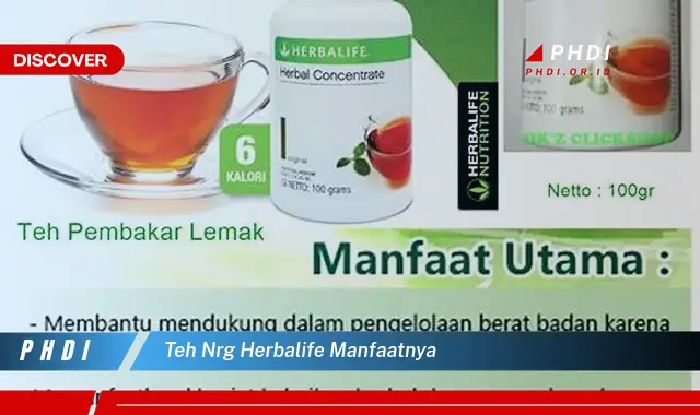 teh nrg herbalife manfaatnya