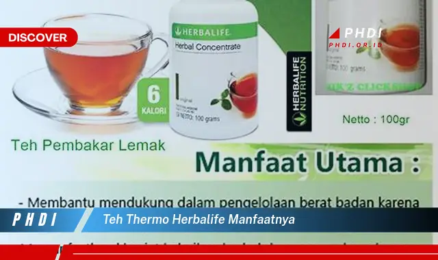 teh thermo herbalife manfaatnya