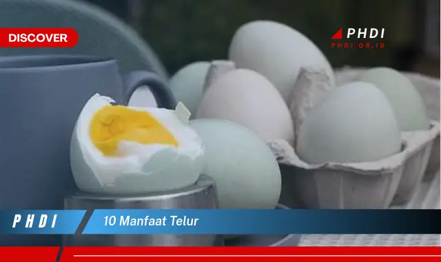 10 manfaat telur