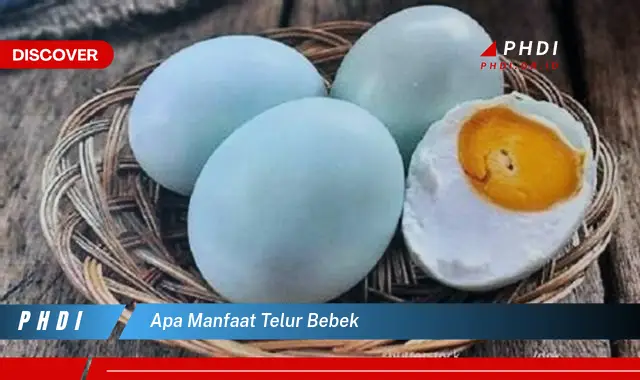 apa manfaat telur bebek