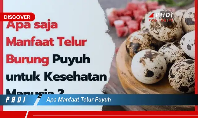 apa manfaat telur puyuh