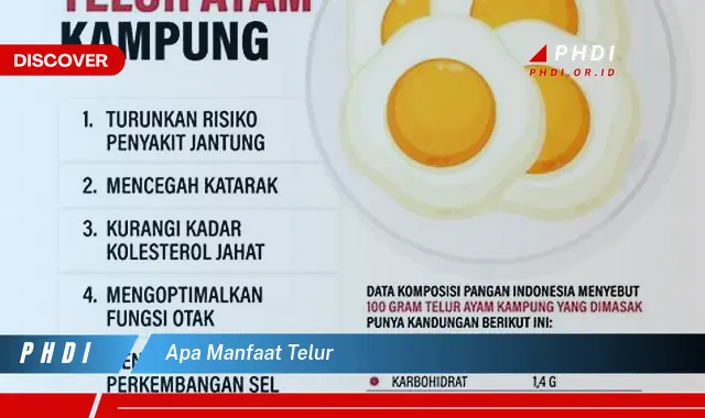 apa manfaat telur