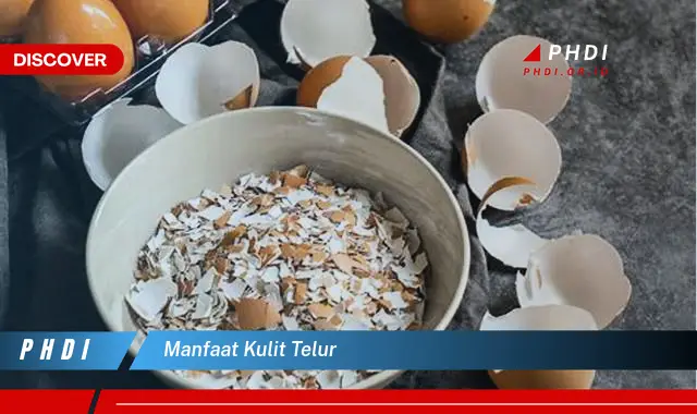 manfaat kulit telur