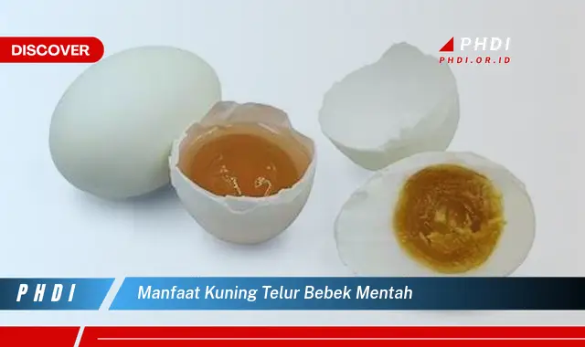 manfaat kuning telur bebek mentah