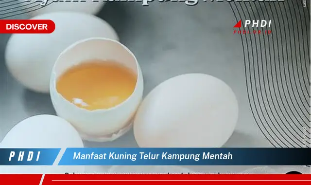 manfaat kuning telur kampung mentah