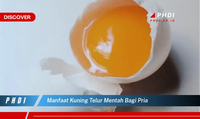 manfaat kuning telur mentah bagi pria