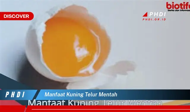 manfaat kuning telur mentah