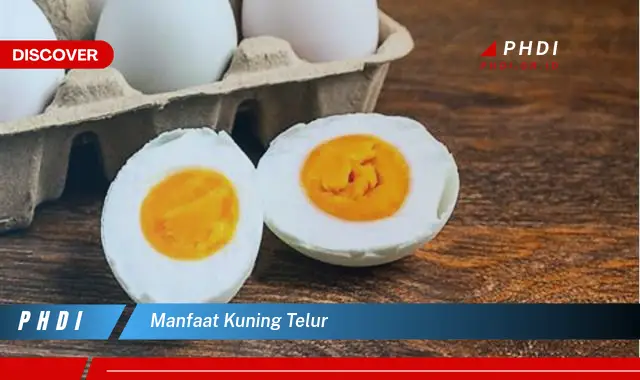 manfaat kuning telur