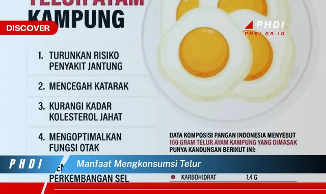 manfaat mengkonsumsi telur