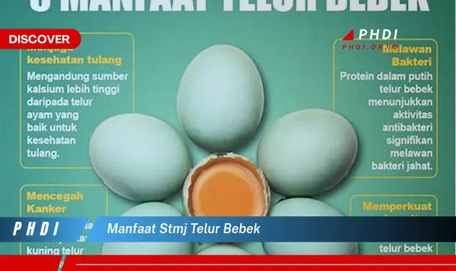 manfaat stmj telur bebek