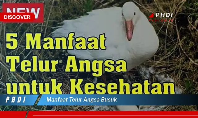 manfaat telur angsa busuk