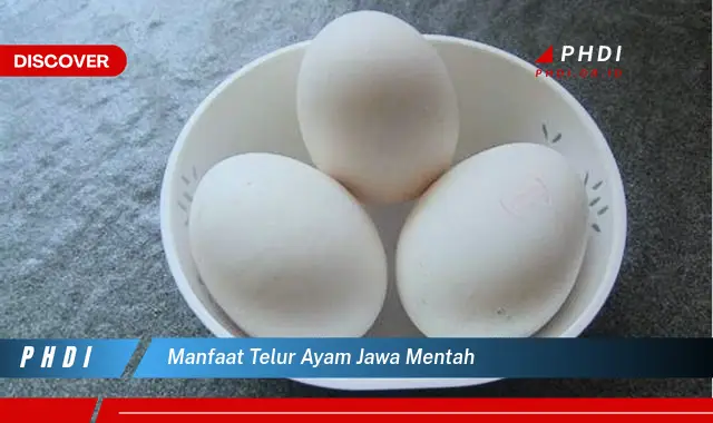 manfaat telur ayam jawa mentah