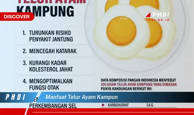 manfaat telur ayam kampun