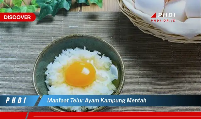 manfaat telur ayam kampung mentah