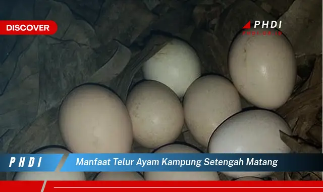 manfaat telur ayam kampung setengah matang