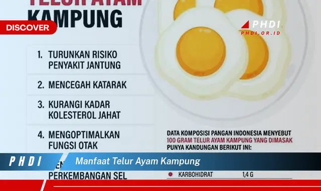 manfaat telur ayam kampung