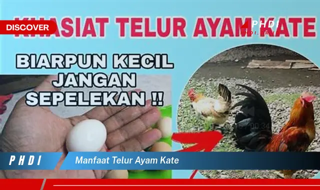 manfaat telur ayam kate